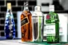 As 10 Melhores Marcas de Gin de 2024: Tanqueray, Rocks, Beefeater e Mais!