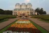 Jardim Botânico de Curitiba: horário de visitação, curiosidades e muito mais!