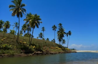 Praias de Ilhéus: conheça as melhores praias da região da Bahia e mais!