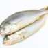 Nó de pesca: aprenda vários modelos, em anzol, isca, molinete e mais!