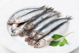 Peixe aliche: o que é, diferenças, culinária, pesca e mais!