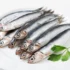 Peixe moreia: habitat, características, pesca, espécies e mais!