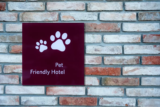 Hotel Pet friendly em SP: opções de hotéis para ir com seu pet!